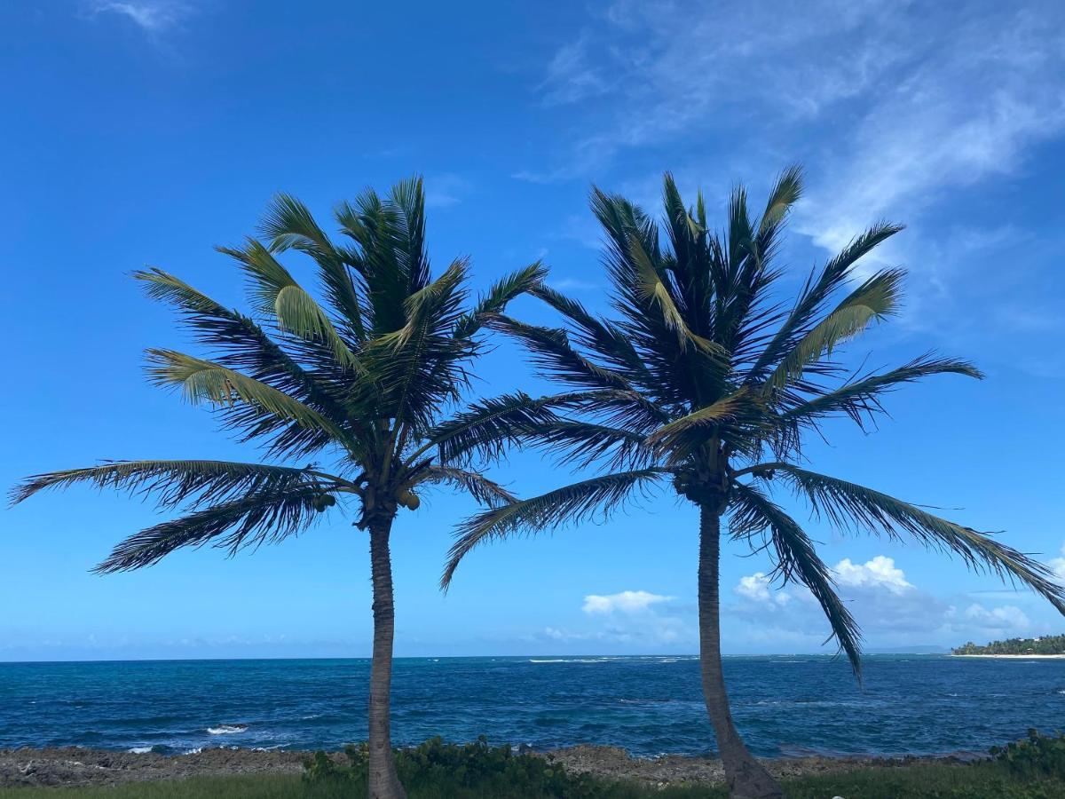 Villa Phare Caraibes Guadeloupe Le Moule Exterior foto